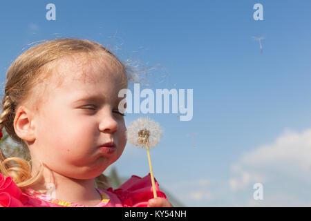 Little girl blowing un pissenlit Banque D'Images