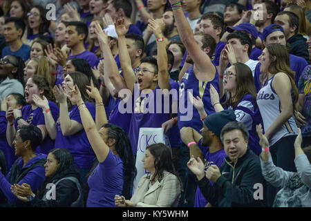 Seattle, WA, USA. 13 Jan, 2018. L'Université de Washingont section des élèves en action lors d'un CIP12 jeu de basket-ball entre les Huskies de Washington et Stanford Cardinal. Le jeu a été joué à Hec Ed Pavilion à Seattle, WA. Jeff Halstead/CSM/Alamy Live News Banque D'Images