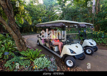 PERADENIA, SRI LANKA -vers décembre 2016 : les touristes en jardin botanique royal Banque D'Images