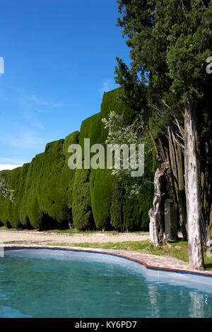 Piscine et couverture de cyprès dans le jardin de la villa Gamberaia, Settignano, Florence Banque D'Images