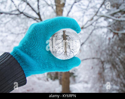 Photographie crystal ball en face d'un arbre sur une journée ensoleillée durant la saison froide d'hiver avec neige au sol Banque D'Images