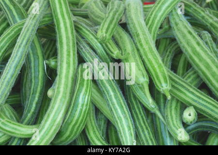 Concombre arménien (Cucumis melo), un membre de la famille cantaloup, en vente sur le marché de producteurs, Manama, Royaume de Bahreïn Banque D'Images