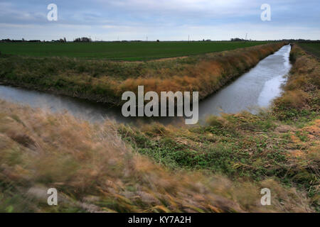 Jour de vent sur la vieille ville de la rivière Nene, Ramsey, Fenland, Cambridgeshire, Angleterre, RU Banque D'Images