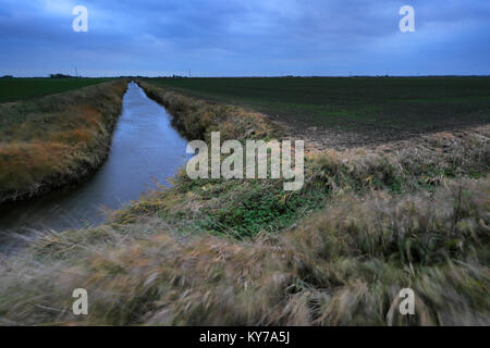 Jour de vent sur la vieille ville de la rivière Nene, Ramsey, Fenland, Cambridgeshire, Angleterre, RU Banque D'Images