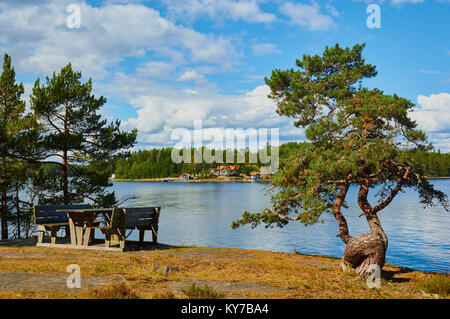 Table de pique-nique dans la réserve naturelle de Ostra Lagno sur la côte de l'Ljustero, comté de Stockholm, Suède, Scandinavie. Banque D'Images