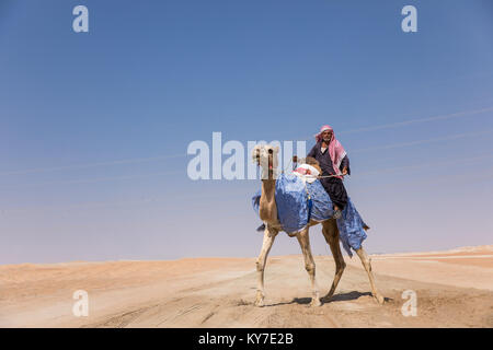 Abu Dhabi, UAE - Dec 15, 2017 : old man riding son chameau dans le désert au cours d'Al Dhafra camel festival. Banque D'Images