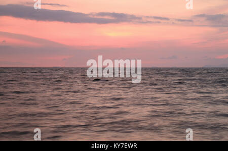 Rose pastel et gris fumée Coucher du soleil tropical couleur ciel au-dessus de la mer vague douce Banque D'Images