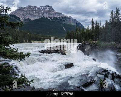 Les chutes Athabasca, promenade des Glaciers, Banff National Park, Alberta, Canada. Banque D'Images