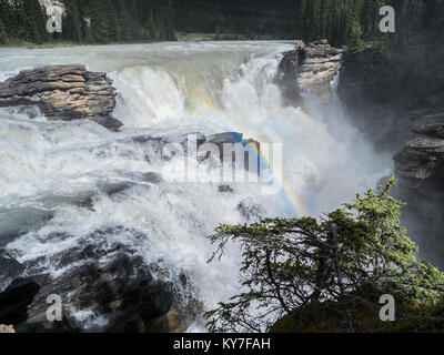 Les chutes Athabasca, promenade des Glaciers, Banff National Park, Alberta, Canada. Banque D'Images