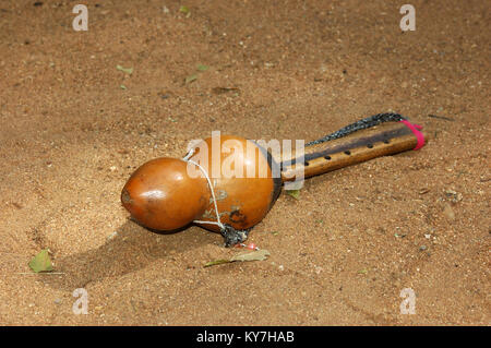 Gouttes de venin de cobra indien sur snake catcher sifflet, Tamil Nadu, Inde du Sud Banque D'Images