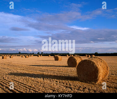 Balles de foin récolté, près de Castle Bytham, Stamford, Lincolnshire, Angleterre, Royaume-Uni Banque D'Images