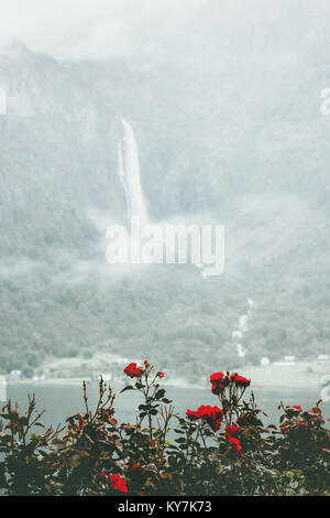 Cascade dans le paysage des montagnes brumeuses et fleurs roses rouge misty vue panoramique Voyage Norvège Banque D'Images