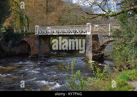 Marsh Pont sur la rivière Barle, Dulverton, Exmoor, Somerset Banque D'Images