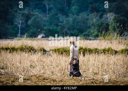 Femme traversant le champ dans le village de Muang Ngoi dans le Nord du Laos Banque D'Images