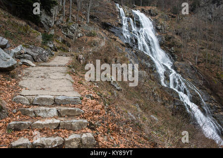 Todtnau Cascade, forêt noire allemagne Banque D'Images