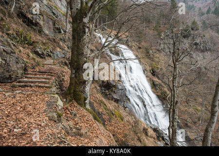 Todtnau Cascade, forêt noire allemagne Banque D'Images