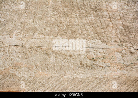 Texture rustique planche en bois blanc Banque D'Images