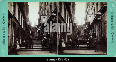 Les marches éblouissantes de la rue Little Champlain, à Québec, sont un endroit populaire pour la photographie, mettant en valeur l'architecture d'inspiration européenne. Banque D'Images