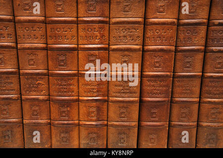 Rangée d'épines à partir de plusieurs volumes de la Sainte Bible. À partir de la Collection des livres rares Reed à Dunedin, Nouvelle-Zélande. Banque D'Images