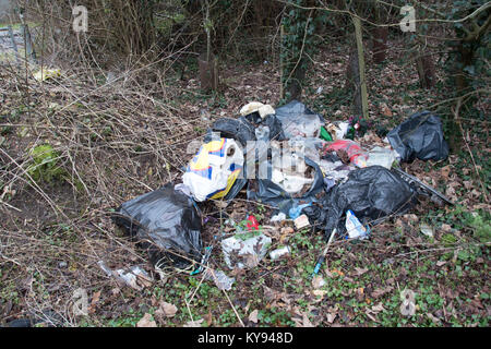 Plus de sacs noirs des déchets ménagers déversés dans la campagne. Banque D'Images