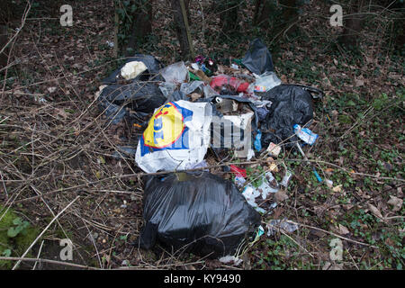 Plus de sacs noirs des déchets ménagers déversés dans la campagne. Banque D'Images