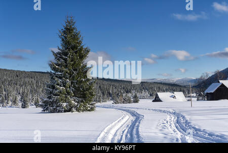 Piste de ski de fond dans un hameau Jizerka, Jizerske hory en République tchèque. Grand épicéa en premier plan, les toits couverts de neige de chalets en bois. Banque D'Images