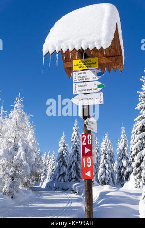 Sentier de montagne signer avec les directions et de randonnée ou de ski de temps dans Jakuszyce, la Pologne du sud. Route de montagne hiver damées pays crcross avec piste. Banque D'Images