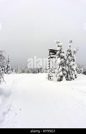 Deer stand - pied de l'arbre - Tour d'observation dans les montagnes. Les arbres couverts de neige fraîche. Pistes de ski pistes de ski de fond. Paysage de montagne d'hiver. Banque D'Images