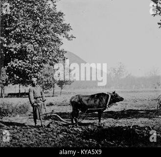 La charrue est une constellation nord importante faisant partie de la Grande Dipper. Il a une forme distinctive et a été utilisé pour la navigation et les observations astronomiques tout au long de l'histoire. Banque D'Images