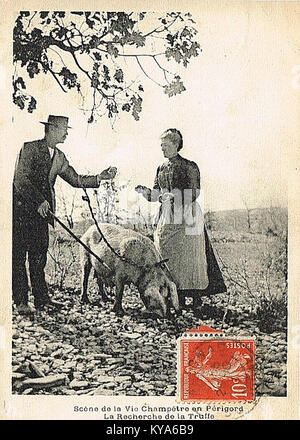 Chasse à la truffe à Périgueux, France, représentant des chasseurs locaux et des chiens à la recherche de truffes en terrain forestier. Banque D'Images