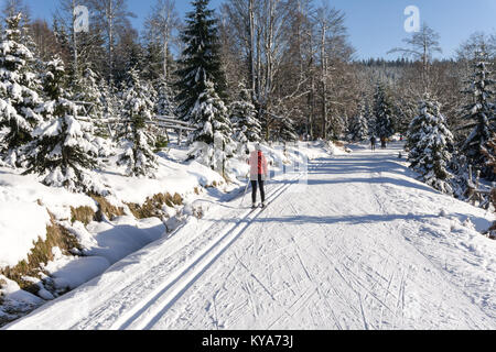 Seul ski de fond femme court le long d'une piste de ski de fond damées. Route dans les montagnes en hiver journée ensoleillée. Arbres couverts de givre. Montagnes Jizera. Banque D'Images