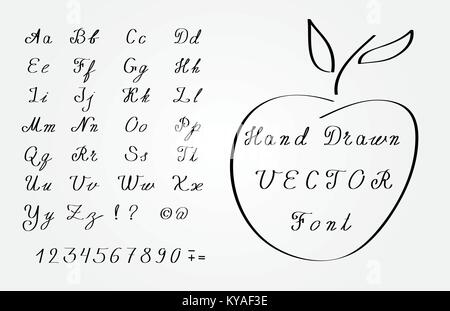 Vector hand drawn font - élégante écriture cursive Illustration de Vecteur