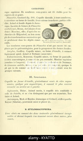 La page 367 d'un manuel de paléontologie fournit des archives fossiles détaillées et des descriptions de la vie préhistorique, aidant à l'étude de l'histoire de la Terre. Banque D'Images