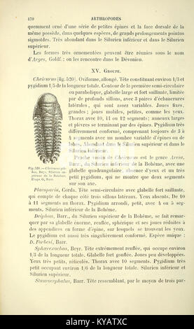 La page 470 de 'Manuel de paléontologie' fournit un contenu paléontologique détaillé, y compris des illustrations fossiles et des descriptions scientifiques pour l'étude académique. Banque D'Images