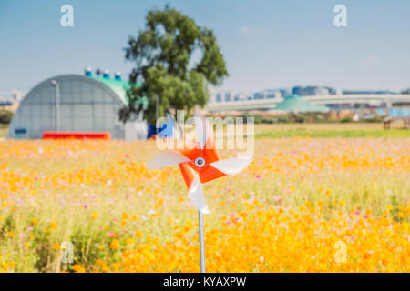 Moulinet jaune orange avec champ de fleurs cosmos commun en coréen village rural Banque D'Images