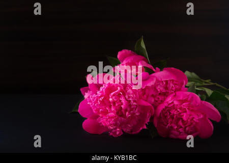 Bouquet de fleurs de pivoines rose foncé sur fond flou sombre. photos. Profondeur de champ. Banque D'Images