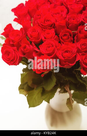 Grand bouquet de roses rouges dans un vase en verre sur un fond blanc Banque D'Images