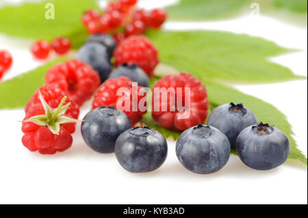 Les bleuets et framboises sur fond blanc Banque D'Images