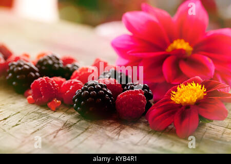 Coin décoratif cadre ou une bordure avec red raspberry fruits et de fleurs sur fond blanc. Banque D'Images