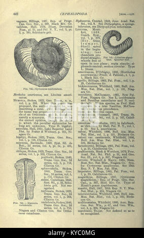Publication scientifique complète sur la géologie et la paléontologie nord-américaines, qui contient des renseignements détaillés sur les archives fossiles régionales, les formations rocheuses et la recherche paléontologique à des fins académiques et éducatives. Banque D'Images