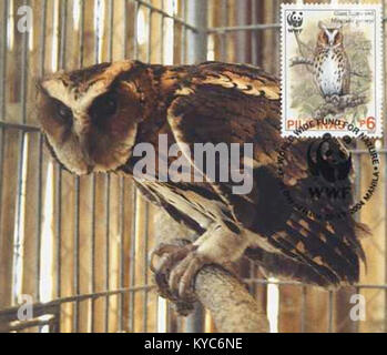Un timbre philippin de 2004 et une carte d'accompagnement représentant l'espèce d'oiseau Otus gurneyi (chouette-poisson-Tawny), montrant son plumage et son habitat d'intérêt philatélique et ornithologique. Banque D'Images