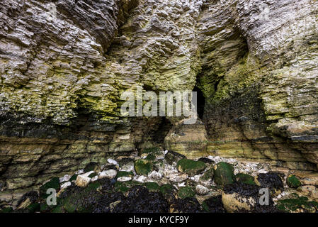 Falaises de craie au North Landing, Flamborough, North Yorkshire, Angleterre. Banque D'Images