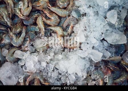 Libre d'un lot de crevettes fraîches avec de la glace sur la rue du marché. Bangkok, Thaïlande Banque D'Images
