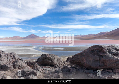 Les flamants roses dans la Laguna Colorada sous le ciel bleu, Uyuni Bolivia Banque D'Images