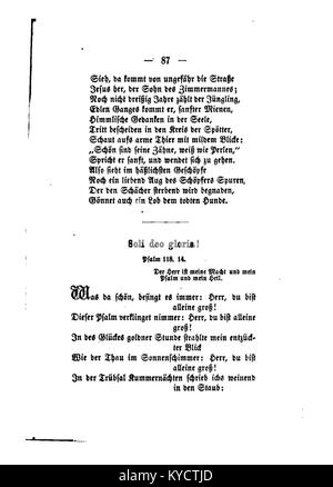 Une plaque botanique intitulée « Palmblätter » par Gerok, présentant des dessins détaillés du feuillage des palmiers et illustrant les approches scientifiques du XIXe siècle de l’étude des plantes. Banque D'Images