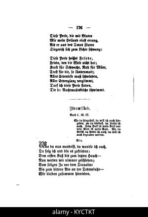 Illustration botanique tirée du « Palmblätter » de Gerok montrant des structures de feuilles de palmier dans des détails artistiques et scientifiques typiques des études botaniques européennes du XIXe siècle. Banque D'Images