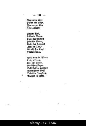 Illustration intitulée 'Palmblätter' par Gerok montrant des dessins botaniques détaillés de feuilles de palmier, mettant en évidence la morphologie et la structure veineuse de diverses espèces de palmier. Banque D'Images