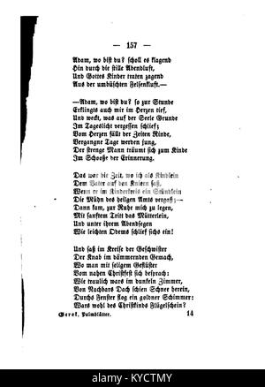 Une illustration de la série « Palmblätter » de Gerok montrant des rendus détaillés de frondes de palmier avec un accent sur la forme naturelle et la précision botanique. Banque D'Images