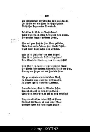 Une illustration de la série « Palmblätter » de Gerok, planche 160, présentant des motifs stylisés de feuilles de palmier avec des détails botaniques et artistiques. Banque D'Images