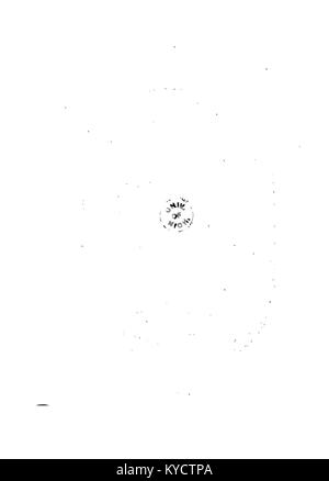 Une illustration de la série « Palmblätter » de Gerok, présentant des représentations artistiques de feuilles de palmier rendues avec précision et précision botanique. Banque D'Images